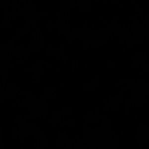 Meet your Posher, Sonia