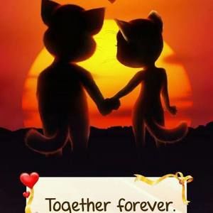 Meet your Posher, Aurea