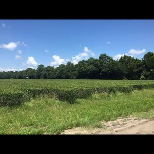 Meet your Posher, Luda