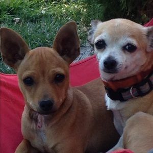 Meet your Posher, Deantha