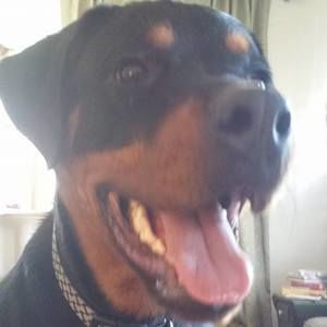 Meet your Posher, Leslie