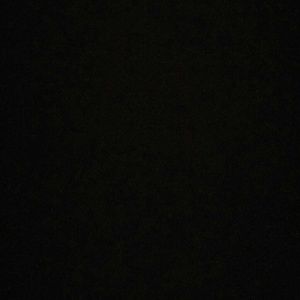 Meet your Posher, Adrienne