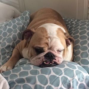 Meet your Posher, Jenn