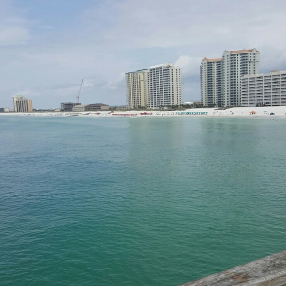 Meet your Posher, Amy - Picture 1 of 1