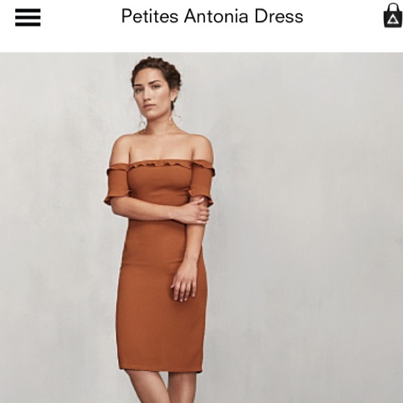 Reformation petites Antonia dress