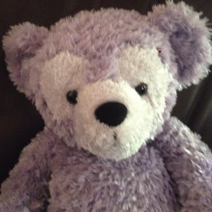 collectible, retired hidden Mickey plush bear