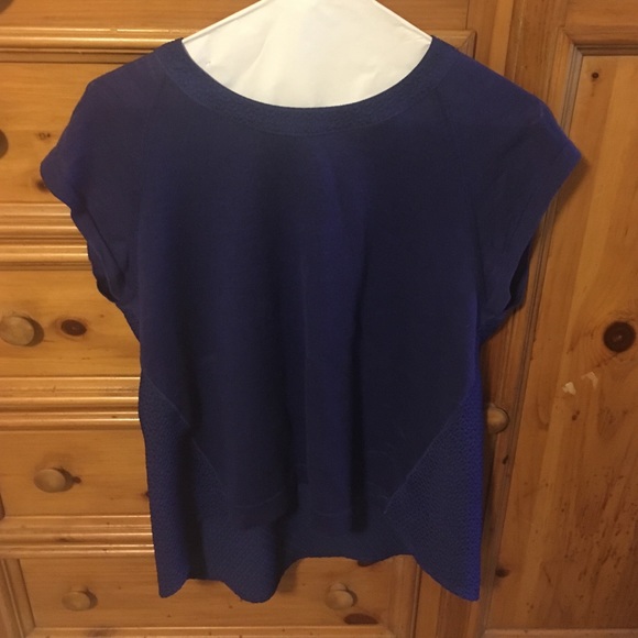 Club Monaco blue blouse