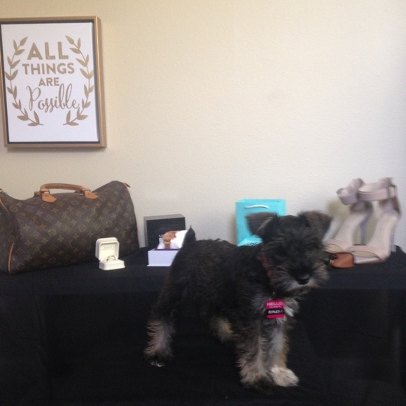 ๐๐๐ Your Posher๐๐๐ - Picture 2 of 2