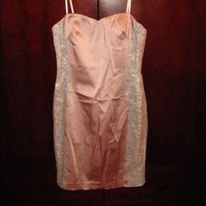 NEW Adrianna Papell dress