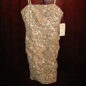 NEW Adrianna Papell dress