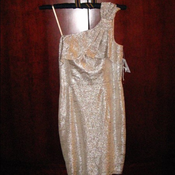 NEW Adrianna Papell dress-- no tags - Picture 1 of 1