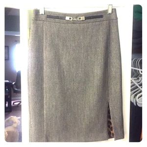 Express Pencil Skirt