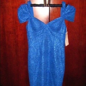 NEW Adrianna Papell dress