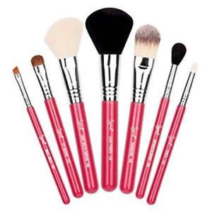 MAJOR MARKDOWN! Make Me Blush 😊 Travel Brush Set