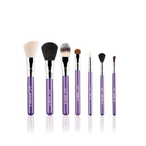 MAJOR MARKDOWN! Make Me Crazy Travel Brush Set