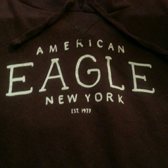 Super cute American eagle hoodie?? - Picture 1 of 3
