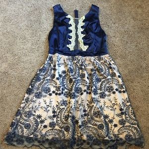 Lacy Zip up back Dress