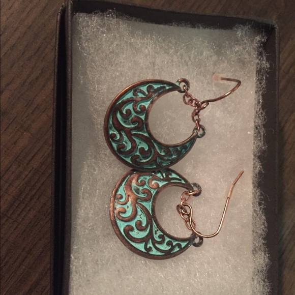Aqua / Bronze Earrings
