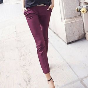 Express Columnist Crop pants