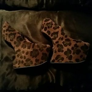 Jeffrey Campbell leopard night walks