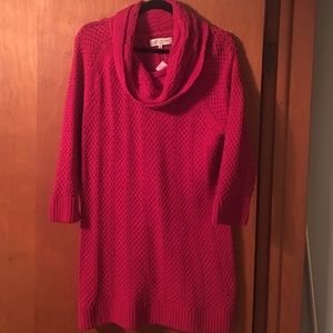 Jones of New York tunic sweater