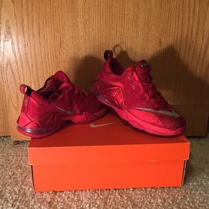 Lebron 12 low