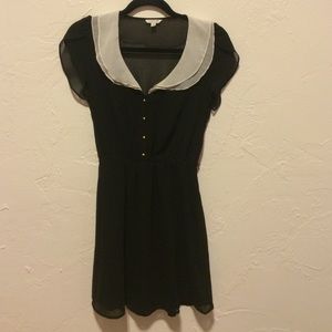 Black chiffon Peter Pan collar  dress