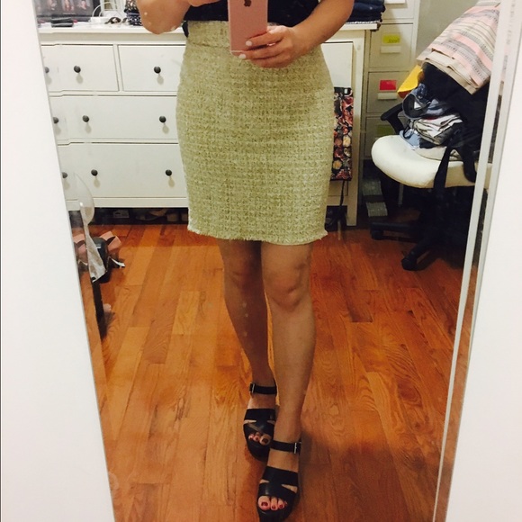 Ann Taylor skirt
