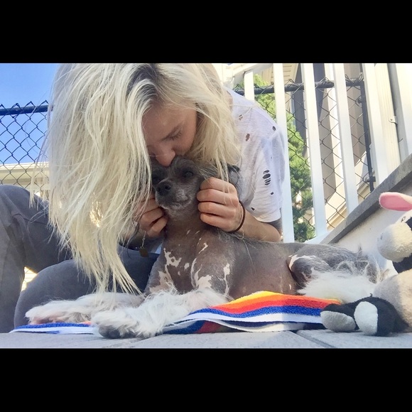 Selling to support my service dog - Picture 2 of 7