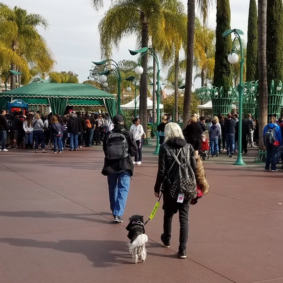 Selling to support my service dog - Picture 7 of 7