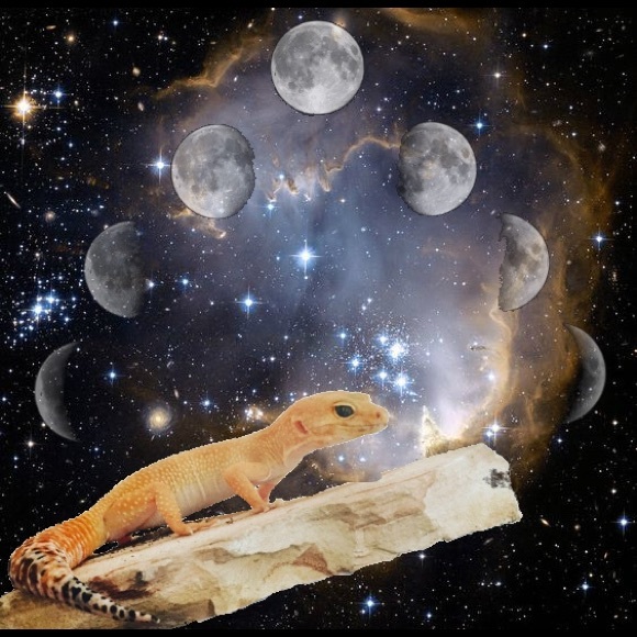 meet me! - Picture 2 of 3