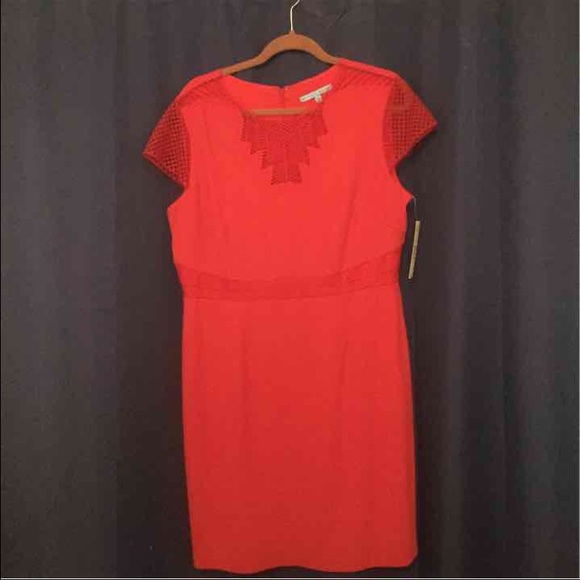 Antonio Melani dress size 14