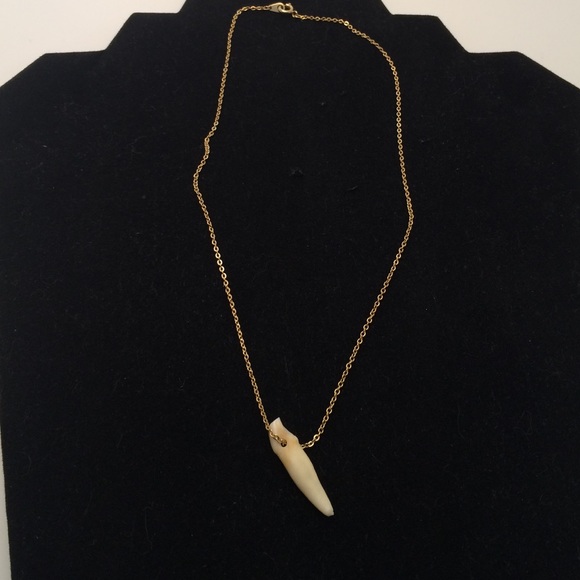 Real tooth necklace