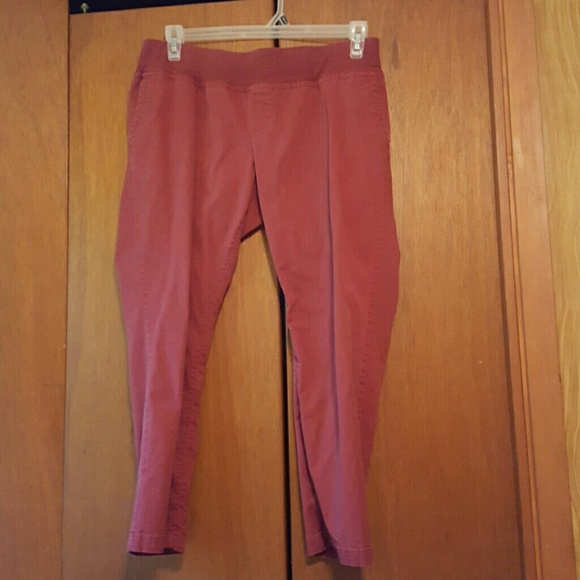 Liz Lange Maternity Capris