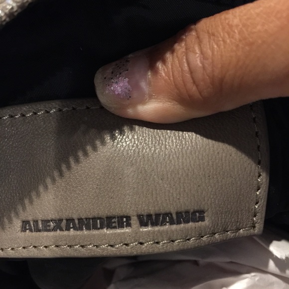 Authentic NWT Alexander Wang Brenda Camera Bag! - Picture 4 of 4