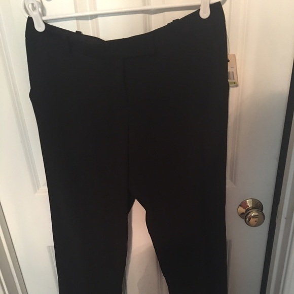 Max studio pants