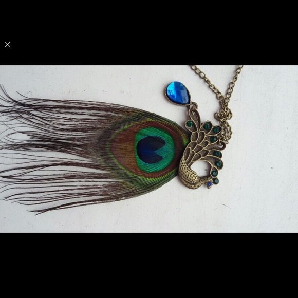 Vintage Peacock Feather Long Necklace - Picture 2 of 2