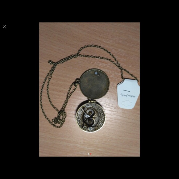 Fashion Retro Chic Owl Bronze Pendant Necklace - Picture 2 of 4