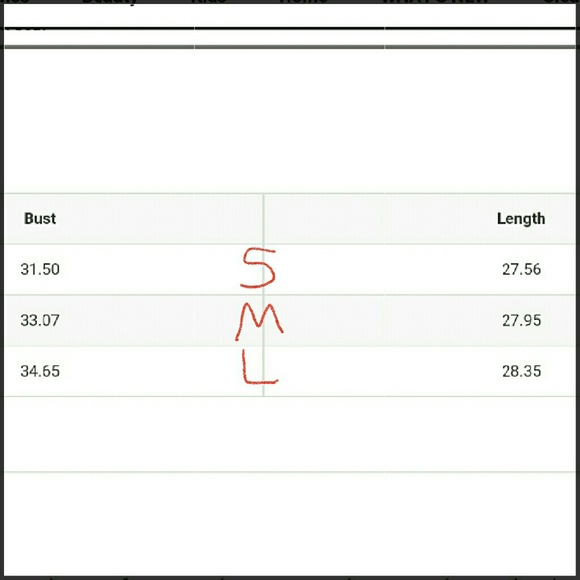 NWOT Women's Coat! - Picture 3 of 4