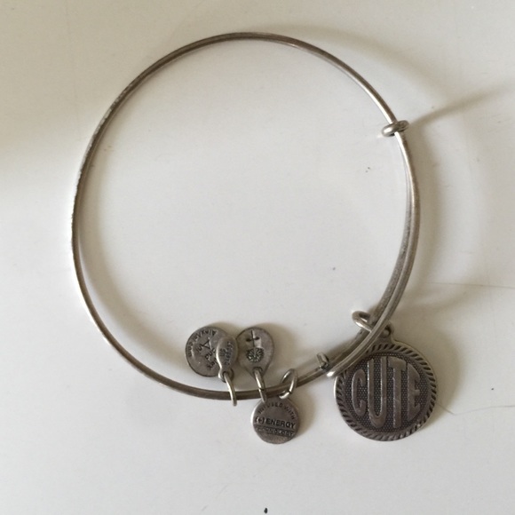Alex and Ani cute bangle