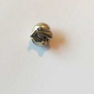 Pandora Charm