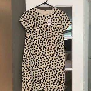 J Crew Factory Polka Dot Dress