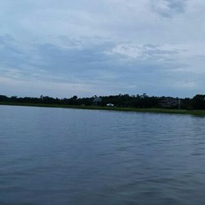 Meet your Posher, Yesenia