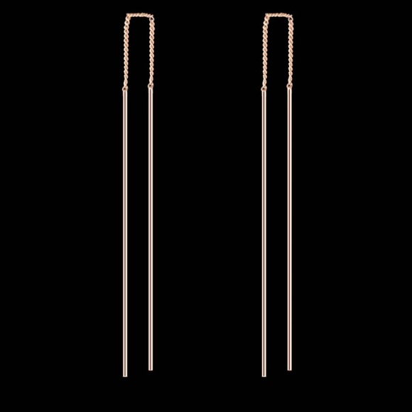 NWT pull through earrings - Picture 2 of 4