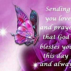 Meet your Posher, Liz