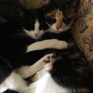 Meet your Posher, Edith