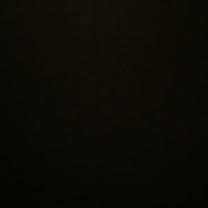 Meet your Posher, Rae