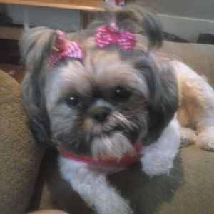 Meet your Posher, Jennifer