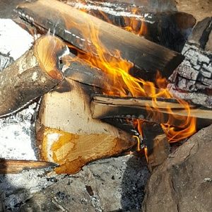 Meet your Posher, Trish