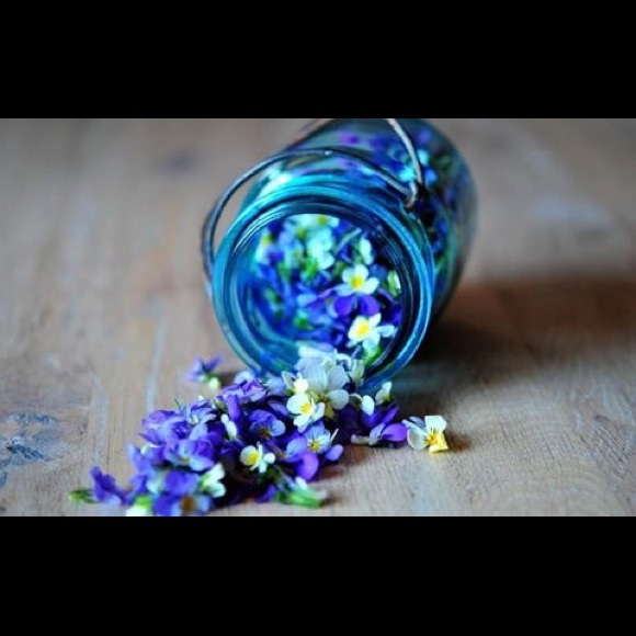 Meet your Posher, Elisabeth